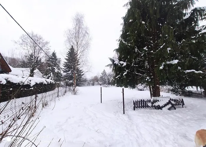 Апартаменты Nad Koszarawa Z Ogrodowym Jacuzzi *