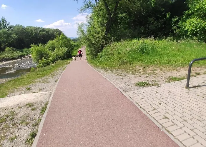 Nad Koszarawa Z Ogrodowym Jacuzzi Апартаменты